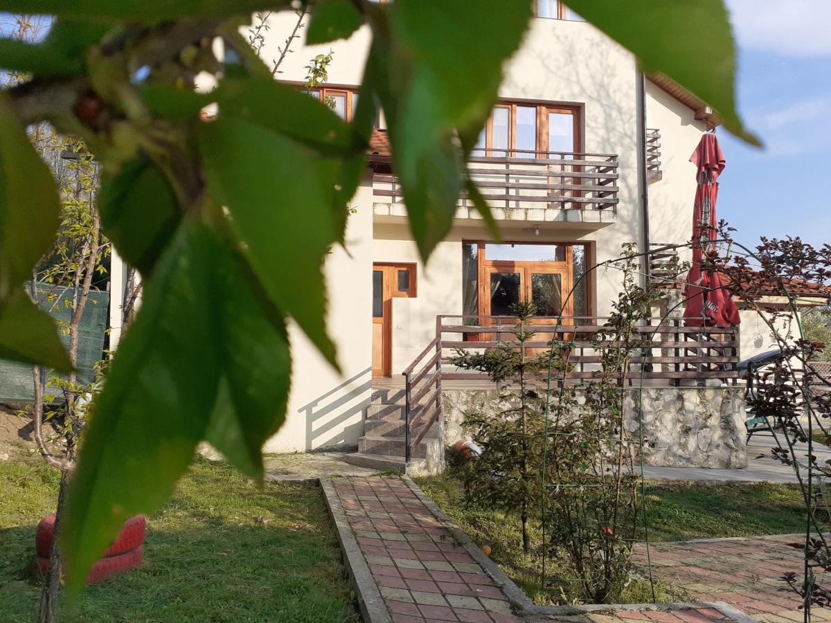 Pensiunea Montedoro Sărata-Monteoru Extérieur photo